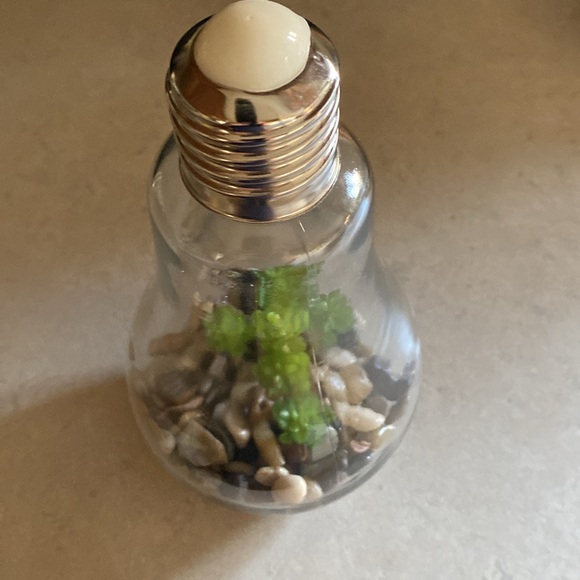 Imitation plant in light Bulb Press top for light  Takes a 3v bulb - Picture 8 of 10